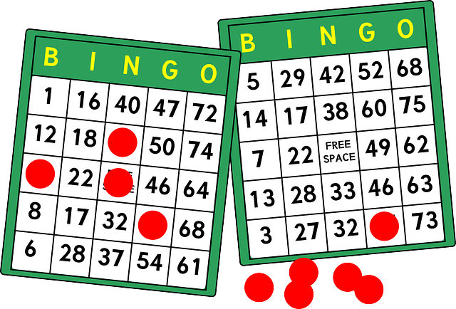 i bingo je v podstatÄ› solitÃ©rnÃ­ hra